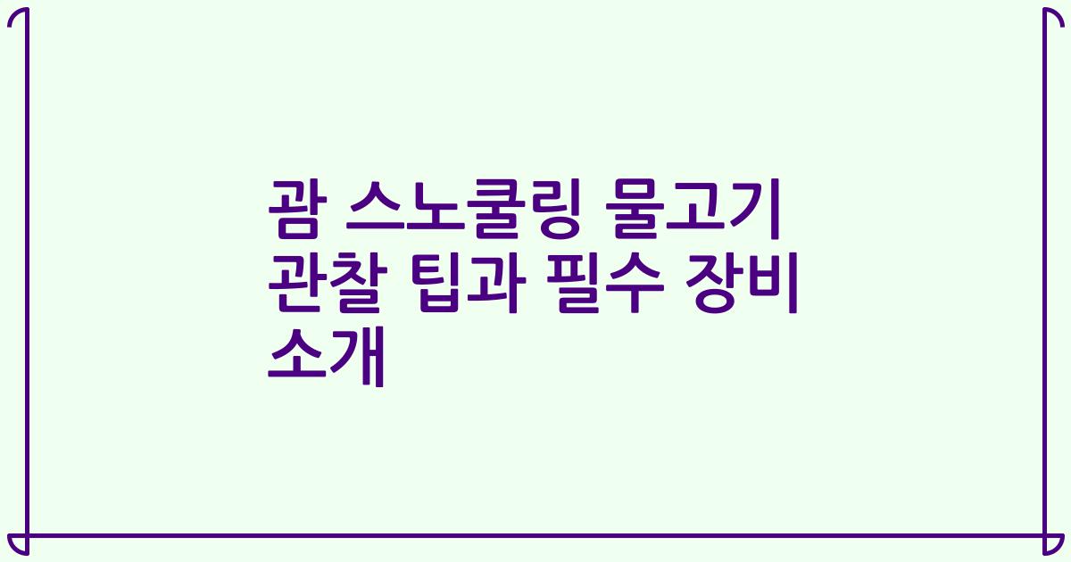 괌 스노쿨링 물고기 관찰 팁과 필수 장비 소개